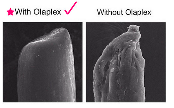 OLAPLEX頂級沙龍護髮療程