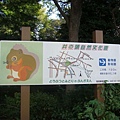 鬧區裡有座森林公園