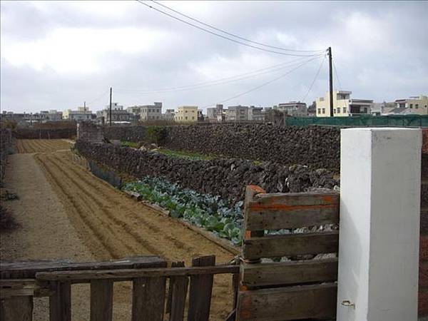 傳統澎湖ㄉ田園