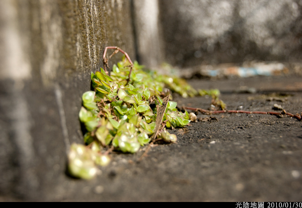 DSC_4742.jpg DSC_4742.jpg