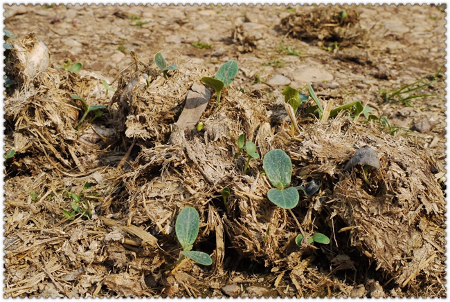 0209 (108) 0209 (108)