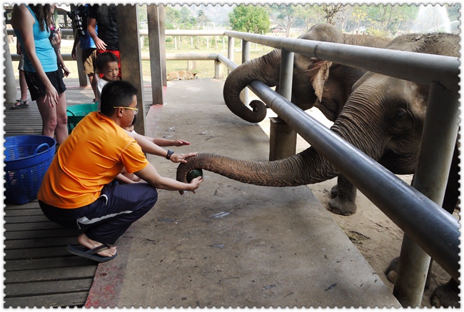 0209 (112) 0209 (112)