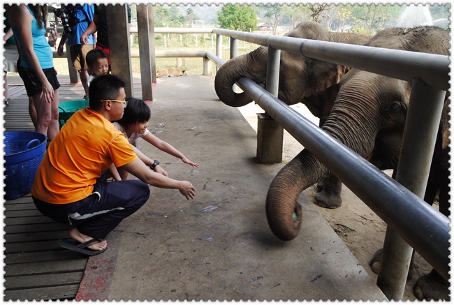 0209 (113) 0209 (113)