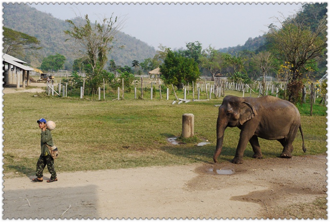 0209 (114) 0209 (114)