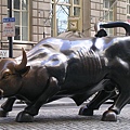 bull in wall.jpg