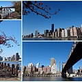 Apr 8 - Roosevelt island, Easter parade in 5th Avenue, CentraL park, Rockfeeller center, Top of the rock1