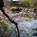 DSC01886.JPG