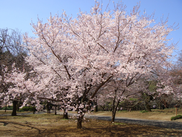 DSC01926.JPG