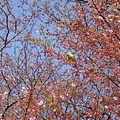 DSC01977.JPG