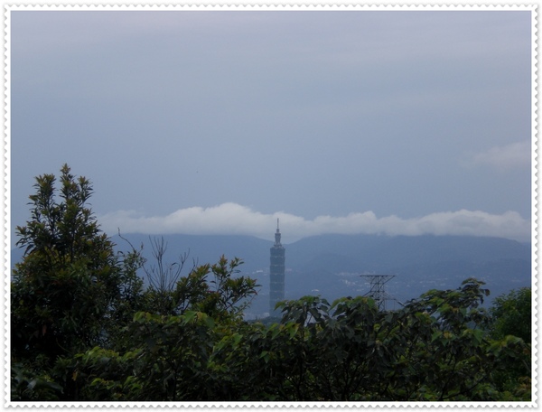 政大-5.JPG 政大-5.JPG