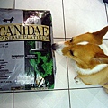 Canidae 卡比 四種肉 低脂配方