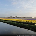 Keukenhof-Nederland_11