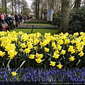 Keukenhof-Nederland_26