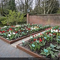 Keukenhof-Nederland_40