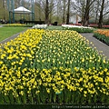 Keukenhof-Nederland_42