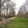 Keukenhof-Nederland_62