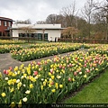 Keukenhof-Nederland_67