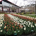 Keukenhof-Nederland_73