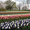 Keukenhof-Nederland_74