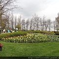 Keukenhof-Nederland_80