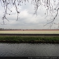 Keukenhof-Nederland_82