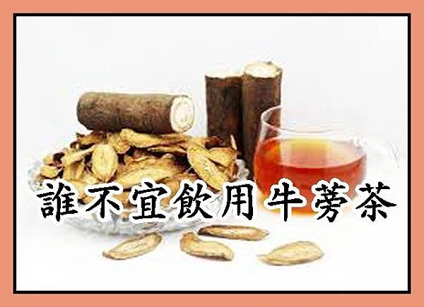 誰不宜飲用牛蒡茶