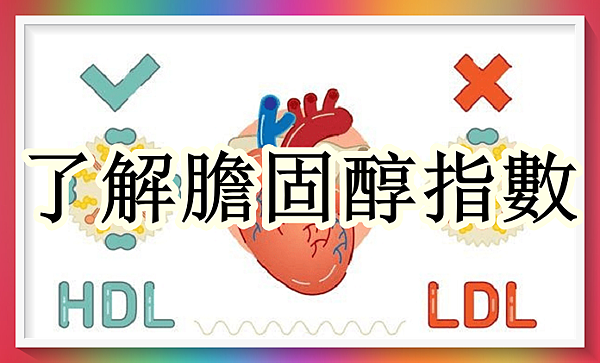 總膽固醇的數字正常真的代表各樣正常嗎.png