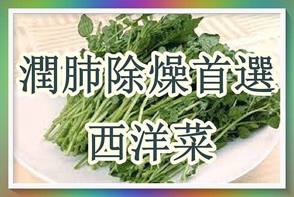 補肺護肺最好西洋菜.jpg