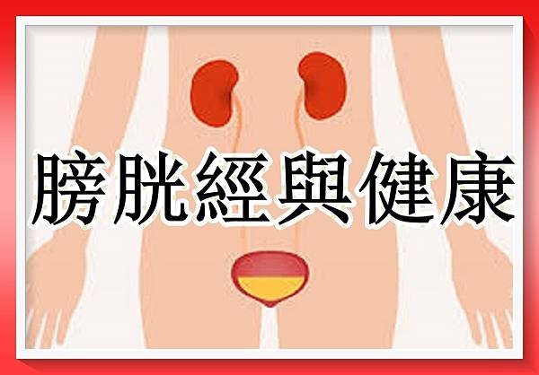 膀胱與健康…下午三點至五點！（12時辰之申時... 膀胱養生法1）.jpg