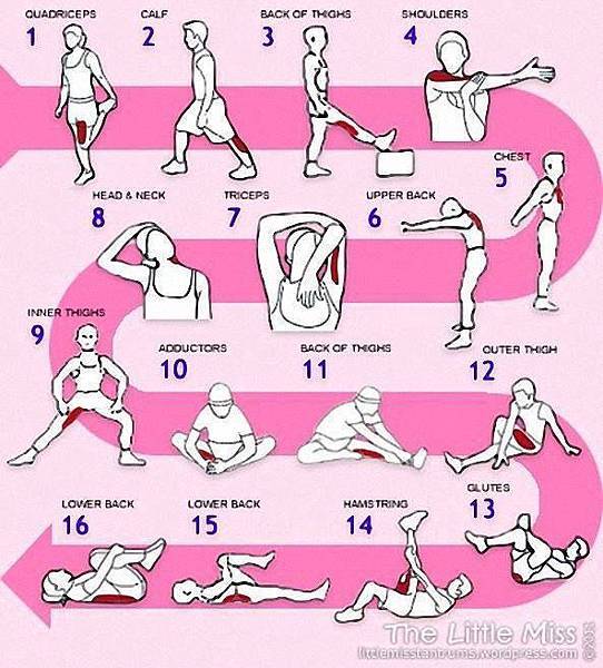 常保身體健康16個例行循環伸展操 Stretching Routine- keep healthy