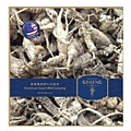 USA Ginseng 花旗參.jpg