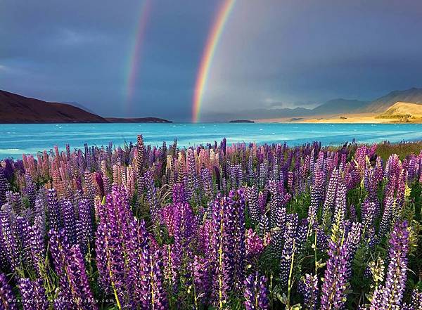 lake-tekapo.jpg