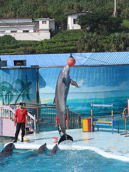 野柳海洋館