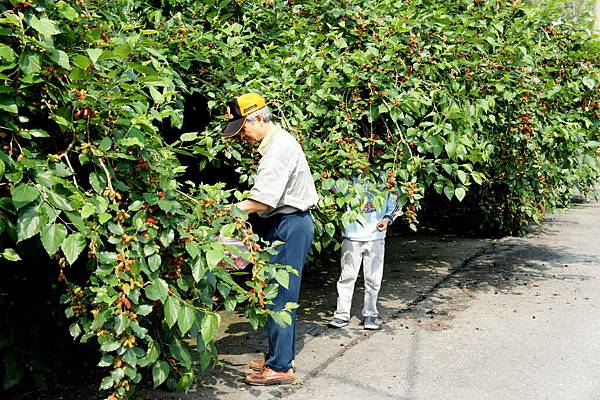 鄉居時光