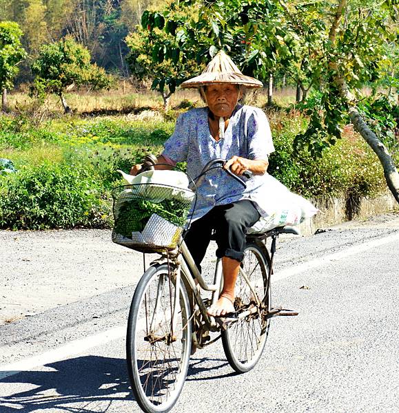 花蓮行旅~