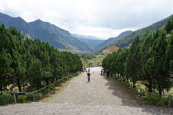 29號公路~小林村...往錫安山~