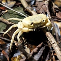 DSC00394.JPG