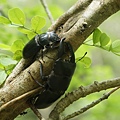 DSC00405.JPG
