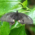 DSC01174.JPG