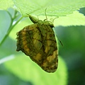 DSC01356.JPG