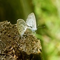 DSC01335.JPG