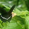 DSC01241.JPG