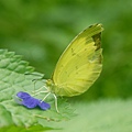 DSC01330.JPG