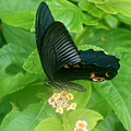 DSC01224.JPG