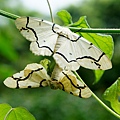DSC02002.JPG