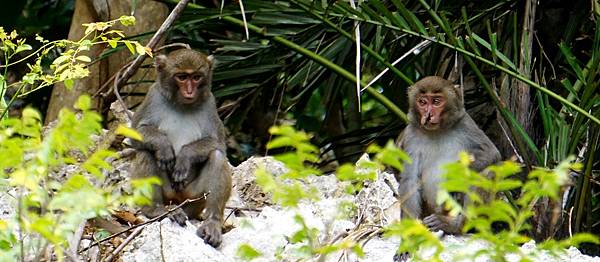 社頂~暖陽小日子