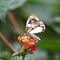DSC01328.JPG
