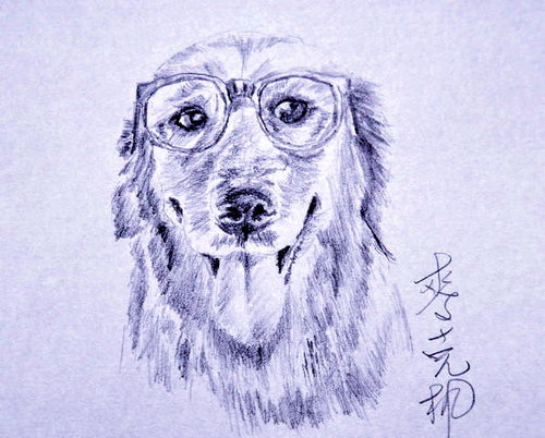 狗狗2.jpg 狗狗2.jpg