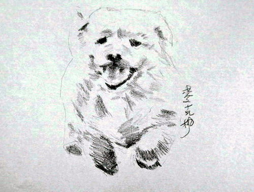 狗狗3.jpg 狗狗3.jpg