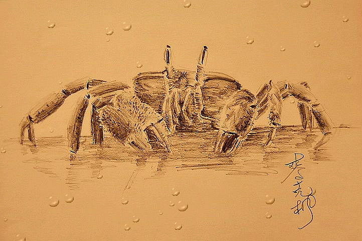 海底小動員1.jpg 海底小動員1.jpg